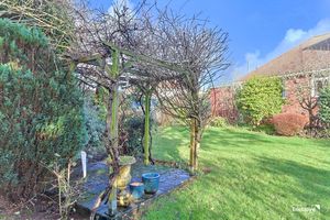 Photo 21- click for photo gallery